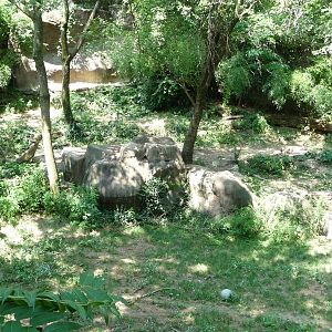 Cincinnati Zoo - Cheetah Exhibit