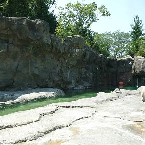 Cincinnati Zoo - Polar Bear Exhibit