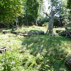 Cincinnati Zoo - Orangutan/Gibbon Exhibit
