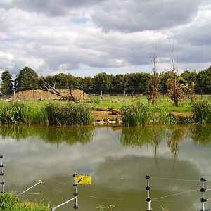 Cheetah Rock Exhibit