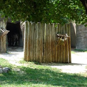 Cincinnati Zoo - Okapi Exhibit