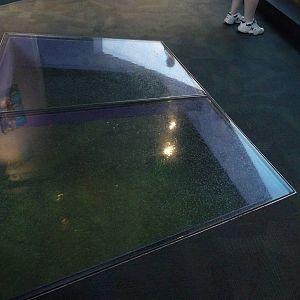 Indianapolis Zoo - Penguin Exhibit