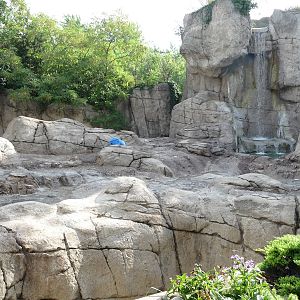 Indianapolis Zoo - Polar Bear Exhibit