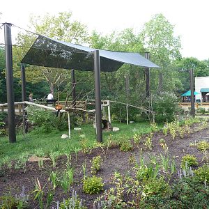 Indianapolis Zoo - Red Ruffed Lemur Exhibit