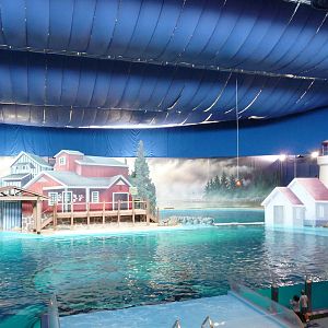 Indianapolis Zoo - Dolphinarium