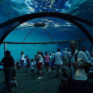 Indianapolis Zoo - Dolphin Dome