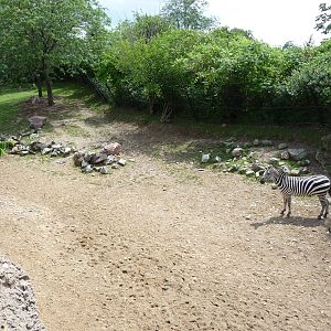 Indianapolis Zoo - Zebra Exhibit