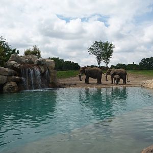 Indianapolis Zoo - African Elephant Exhibit