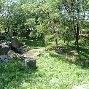 African Journey - Sitatunga/White Stork/West African Black Crowned Crane/Gr