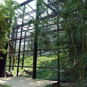 African Journey - Chimpanzee Exhibit