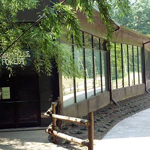 African Journey - Chimpanzee Building