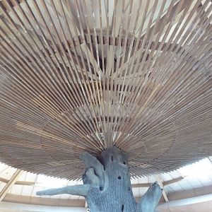 African Journey - Giraffe House Roof