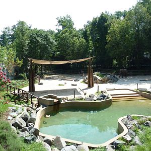 African Journey - Elephant Exhibit