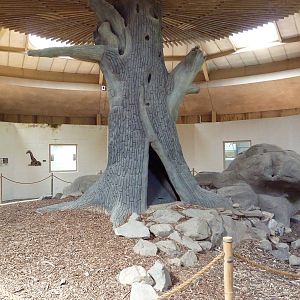 African Journey - Giraffe House