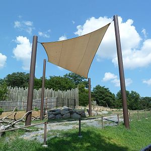 African Journey - Giraffe Exhibit