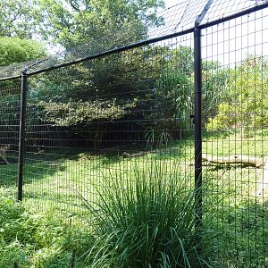African Journey - Cheetah Exhibit
