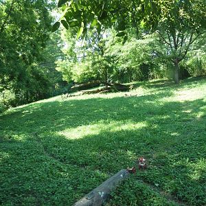 African Journey - Cheetah Exhibit
