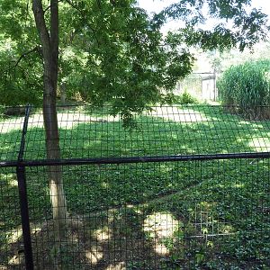 African Journey - Cheetah Exhibit
