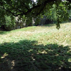 African Journey - Addra Gazelle/Kudu/Saddle-Billed Stork Exhibit