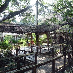 African Journey - Walk-Through Aviary
