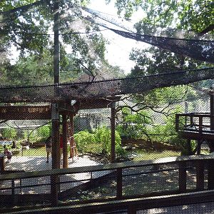 African Journey - Walk-Through Aviary