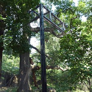 African Journey - Leopard Exhibit