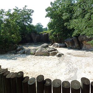 African Journey - White Rhino/Zebra/Ostrich Exhibit