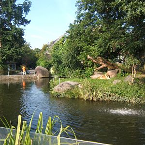 View of Lion enclosure