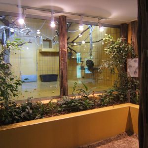 View inside primate House