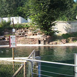 Penguin enclosure