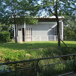 View of enclosure and Giraffe House