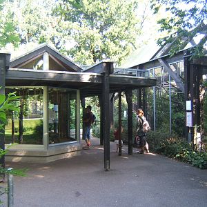 South American exhibit