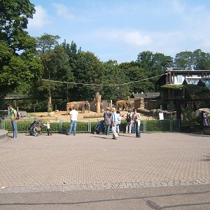 View of Elephant enclosure