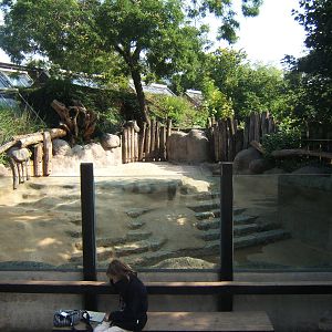 View of 1 of the outdoor Hippo enclosures