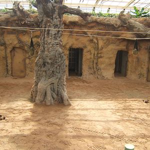 View inside Elephant House