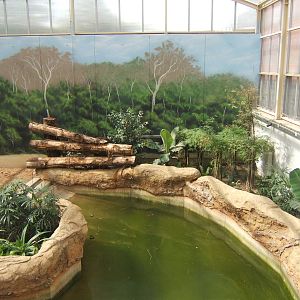 View inside Elephant House