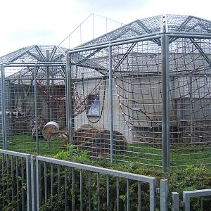 Orang-utan cages