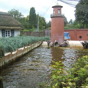 View inside Wader Aviary