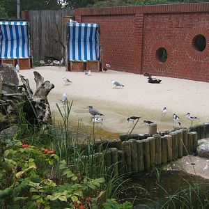 View inside Wader Aviary