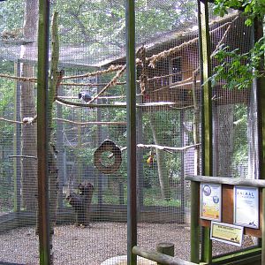 African grey parrot enclosure at Africa Alive!, 13 September 2010