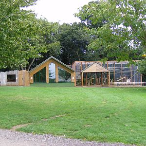 Serval house and fossa enclosure at Africa Alive!, 13 September 2010