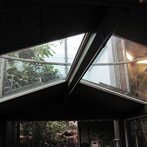 Tropics-White-cheeked Gibbon/Asian small-clawed otter Exhibit