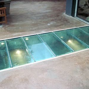 Tropics-White-cheeked Gibbon/Asian small-clawed otter Exhibit