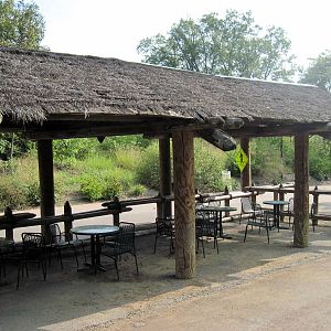 Africa-Picnic Area