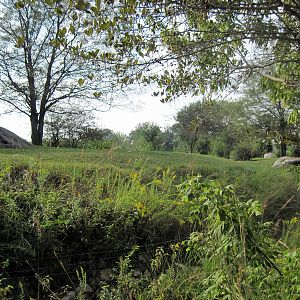 Africa-Cheetah Exhibit