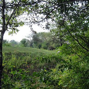 Africa-Cheetah Exhibit