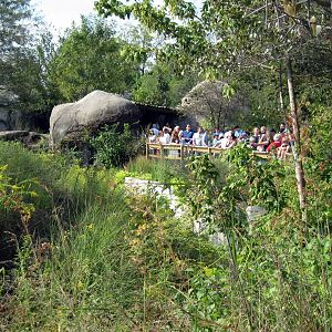 Africa-Cheetah Exhibit
