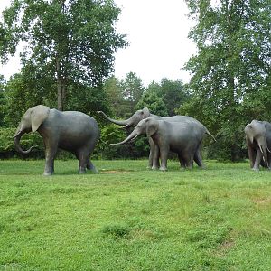 Elephant Statues