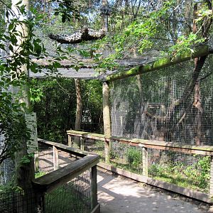 Africa-African Leopard Exhibit