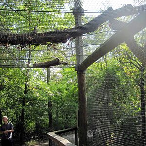 Africa-African Leopard Exhibit